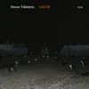 Steve Tibbetts - Life Of